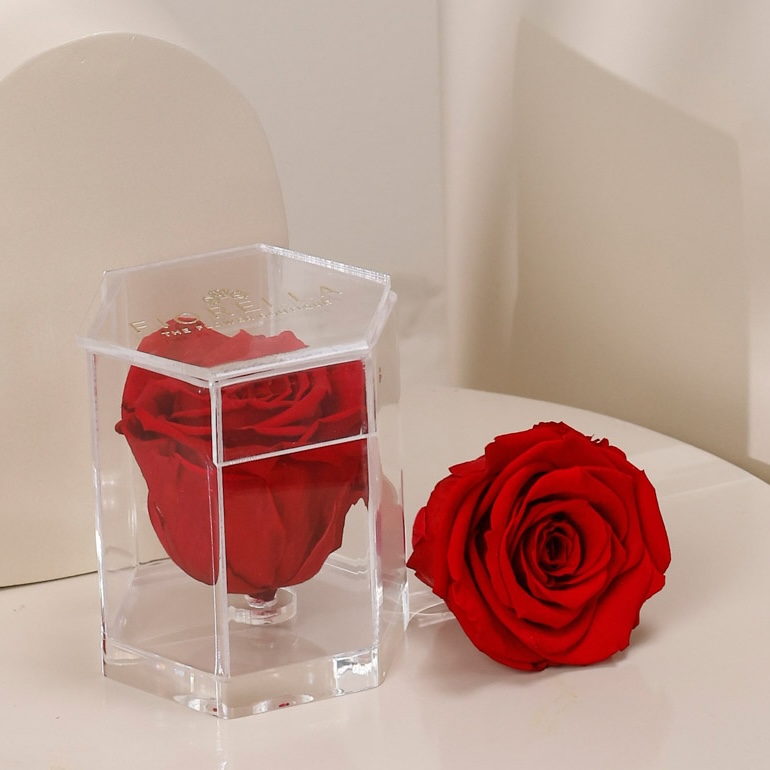  VALENTINE ETERNAL HEXAGON